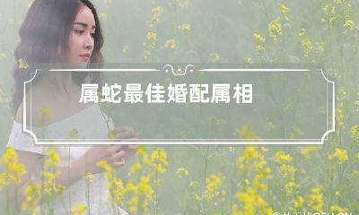 属蛇最佳婚配属相