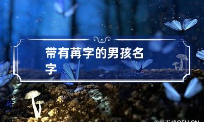 带有苒字的男孩名字