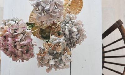 姓封女孩名字属猪2019好听的
