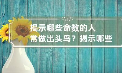 揭示哪些命数的人常做出头鸟？ 揭示哪些命数的人常做出头鸟的动作