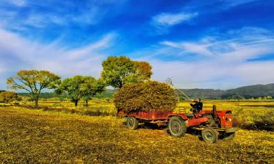 2020年五一劳动节搬家入住新家好吗？2020年5月哪天搬家好？