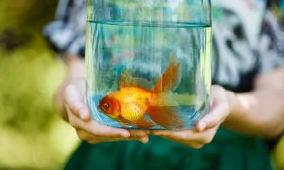 2020年大年初二出生的女孩命运如何？是什么样的性格？