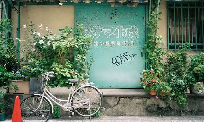 姓乐女孩名字属猪2019好听的