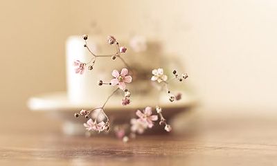 姓萧女孩名字属猪2019好听的