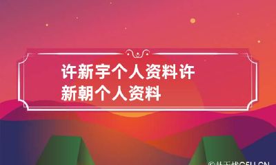 许新宇个人资料 许新朝个人资料