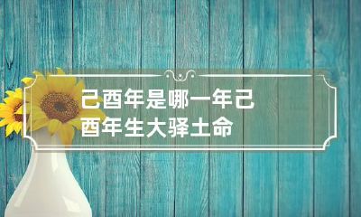 己酉年是哪一年 己酉年生大驿土命