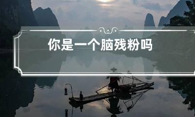 你是一个脑残粉吗