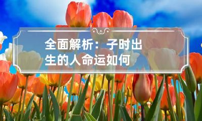 全面解析：子时出生的人命运如何