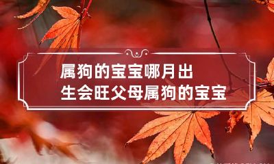 属狗的宝宝哪月出生会旺父母 属狗的宝宝几月出生命最好