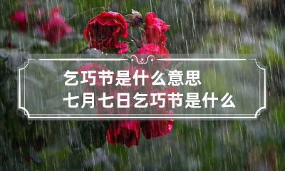 乞巧节是什么意思 七月七日乞巧节是什么意思