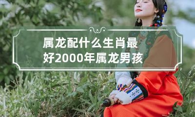 属龙配什么生肖最好 2000年属龙男孩姻缘在哪一年