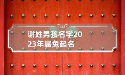 谢姓男孩名字2023年属兔起名