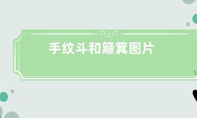 手纹斗和簸箕图片