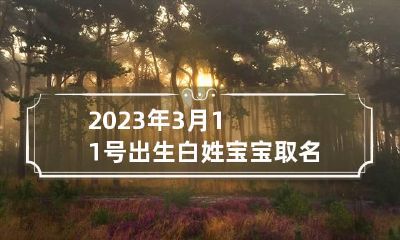2023年3月11号出生白姓宝宝取名叫什么 2023年3月出生的宝宝是什么命