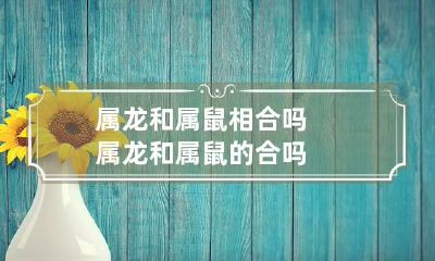 属龙和属鼠相合吗 属龙和属鼠的合吗