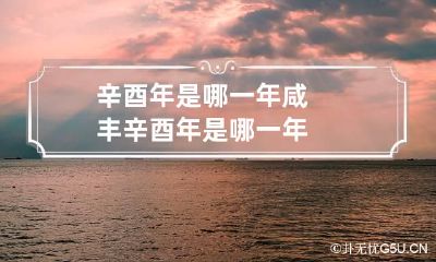 辛酉年是哪一年 咸丰辛酉年是哪一年