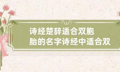 诗经楚辞适合双胞胎的名字 诗经中适合双胞胎女孩的名字