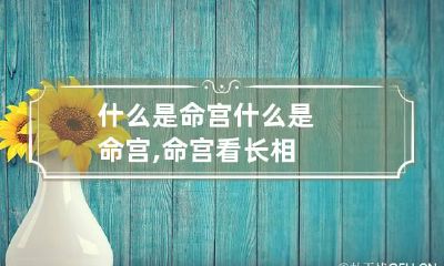 什么是命宫 什么是命宫,命宫看长相