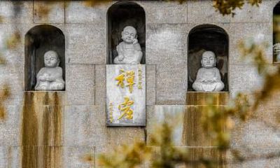 2020年农历四月初二出生的男宝宝命理解析