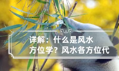 详解：什么是风水方位学？ 风水各方位代表什么