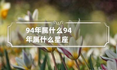 94年属什么 94年属什么星座