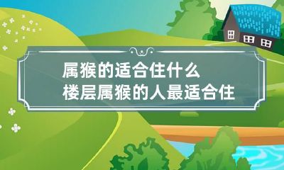 属猴的适合住什么楼层 属猴的人最适合住几楼