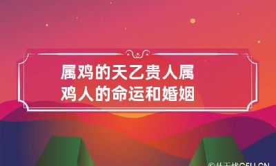属鸡的天乙贵人 属鸡人的命运和婚姻