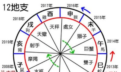 属兔的和属鸡的是否八字相合