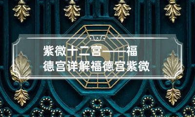 紫微十二宫——福德宫详解 福德宫 紫微