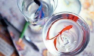 姓楚女孩名字时尚的