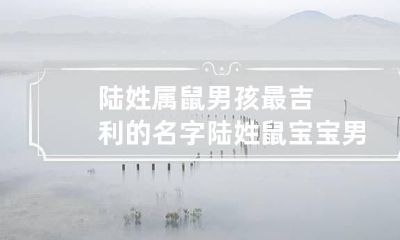 陆姓属鼠男孩最吉利的名字 陆姓鼠宝宝男孩取名字大全