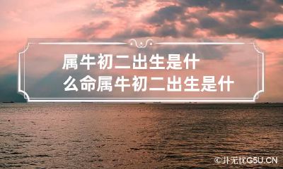 属牛初二出生是什么命 属牛初二出生是什么命人