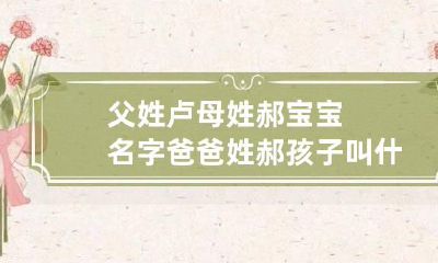 父姓卢母姓郝宝宝名字 爸爸姓郝孩子叫什么好
