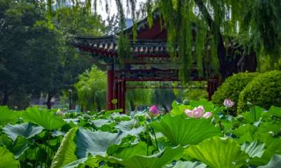 2020年大暑的日子吉利吗？大暑这天有什么禁忌？