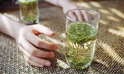 给狗宝宝起名的部首宜忌介绍