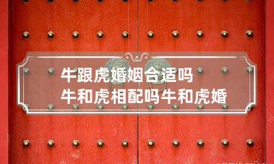 牛跟虎婚姻合适吗牛和虎相配吗 牛和虎婚配好不好
