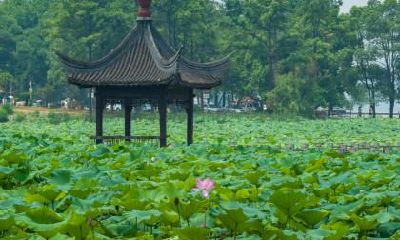 2020年大暑宜忌什么？有什么注意事项？