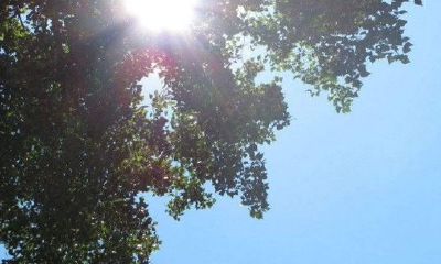 狗年男宝宝起名忌讳用字介绍