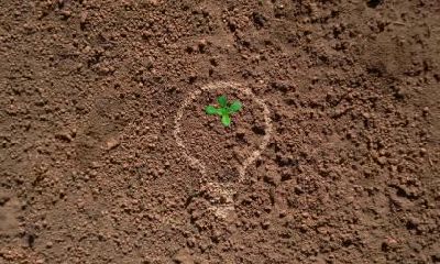 2021年农历六月十三当天出生的男孩子命好不好?五行怎么样