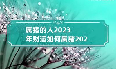 属猪的人2023年财运如何 属猪2023年运势第一运势
