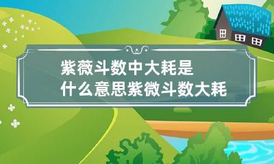 紫薇斗数中大耗是什么意思 紫微斗数大耗星