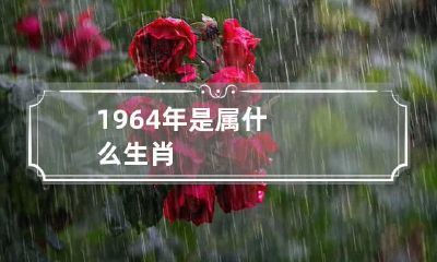 1964年是属什么生肖