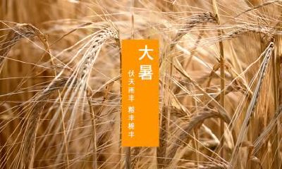 大暑如何养生？大暑养生吃什么？