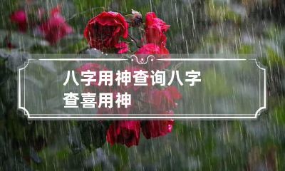 八字用神查询 八字查喜用神
