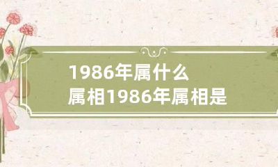 1986年属什么属相 1986年属相是什么