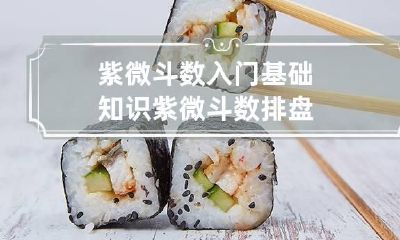 紫微斗数入门基础知识 紫微斗数排盘