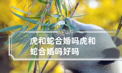 虎和蛇合婚吗 虎和蛇合婚吗好吗
