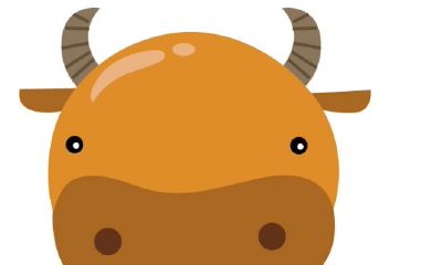 一位金牛座童鞋的自我总结,金牛座自我分析