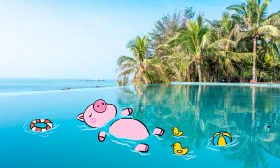 2019年属猪正月出生的人有什么性格特点？脾气好不好？