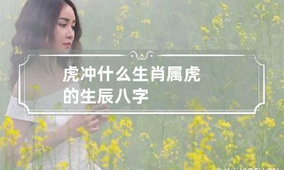 虎冲什么生肖 属虎的生辰八字